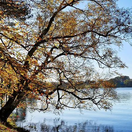 The Coach House 펜션