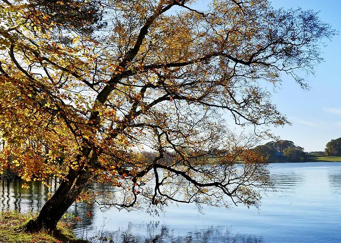 The Coach House Holiday home